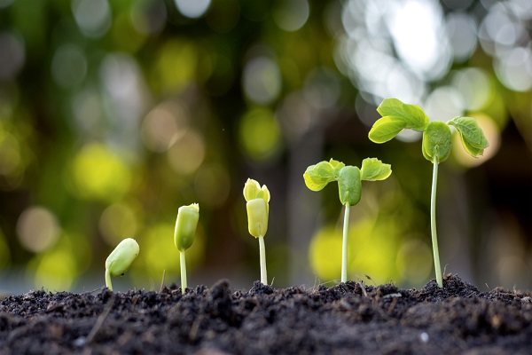 Top 5 Most-Read Articles in Independent Agent in May