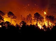 House Holds Hearing on Wildfire Risk