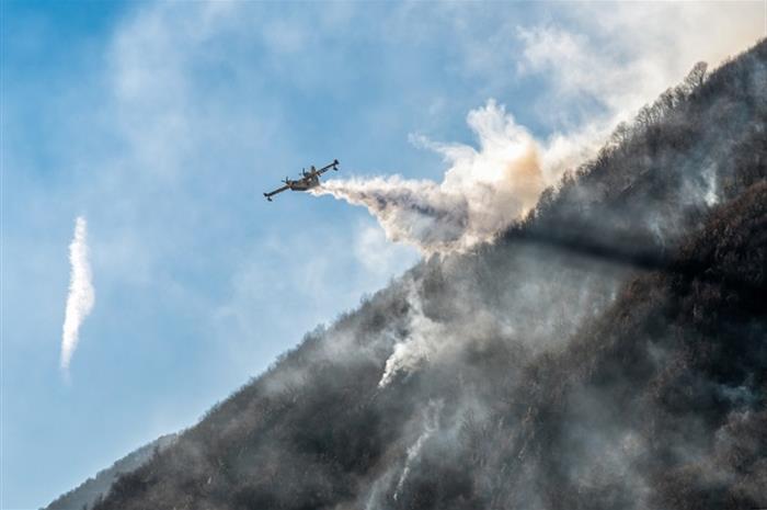 the growing cost of wildfires: getting ready for forest fire season