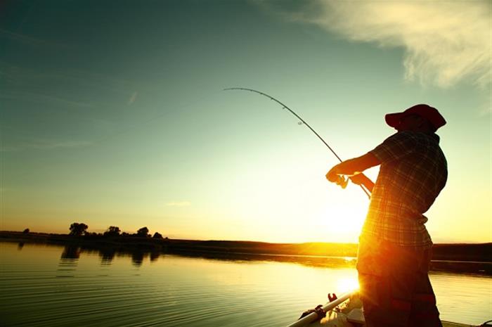 student of industry: picky fishers and the hardest insurance market 