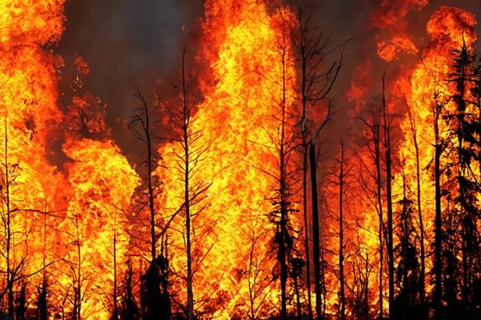 3 tips for clients with wildfire claims