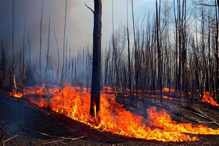 wildfire act blazes through house financial services committee