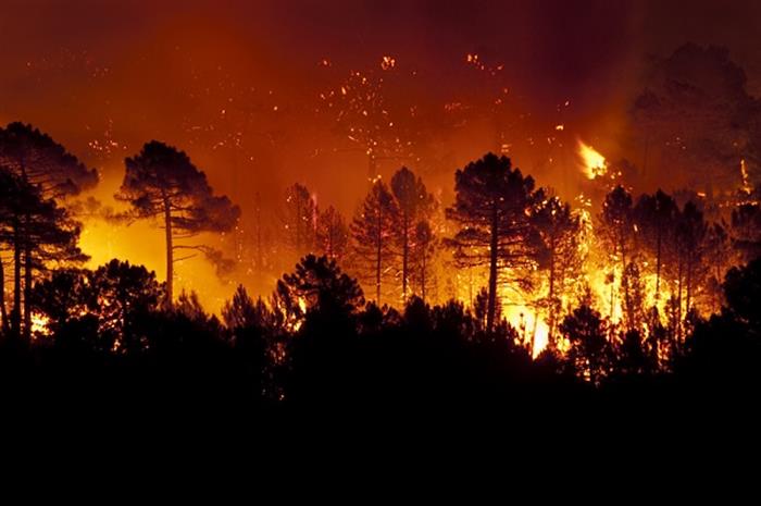 house holds hearing on wildfire risk