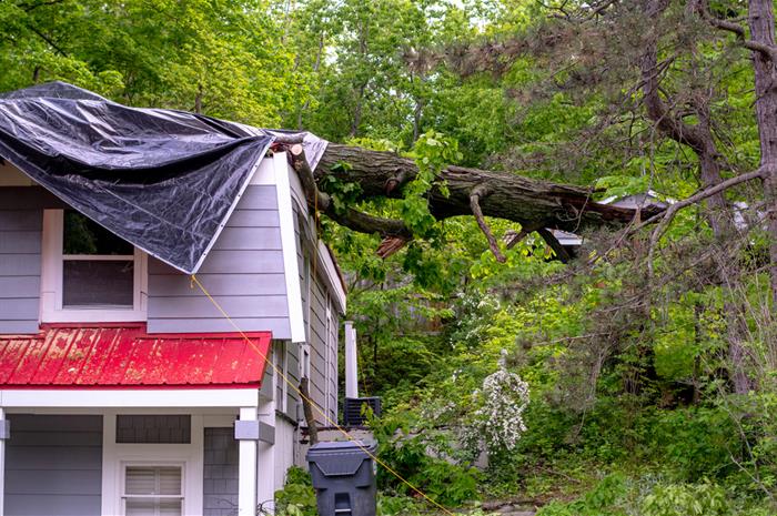 tree damage to roof: when does debris removal sublimit apply?