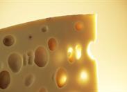 Sandblast-Contaminated Cheese: Does CGL Pollution or Silica Exclusion Apply? 