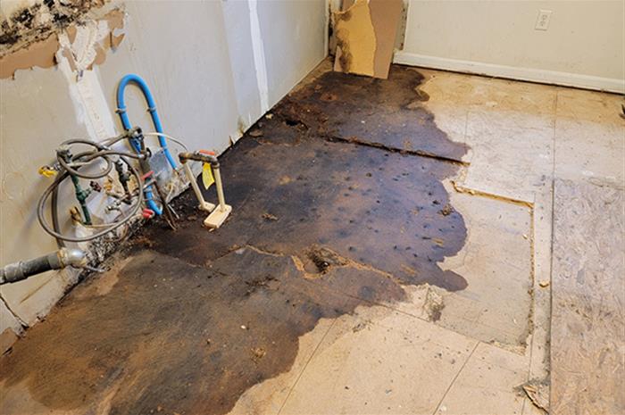 does a homeowners policy cover a water-damaged subfloor that contains asbestos?