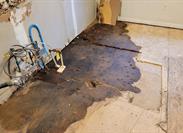 Does a Homeowners Policy Cover a Water-Damaged Subfloor That Contains Asbestos?