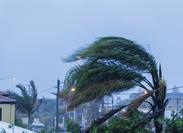 How Agents Can Help Clients Mitigate Hurricane Risk