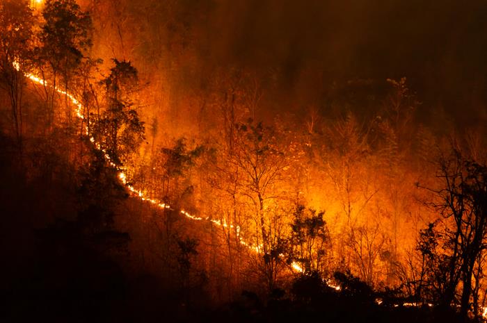 how agents can help clients mitigate wildfire risk