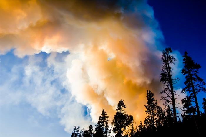 how-to-handle-an-extended-wildfire-season